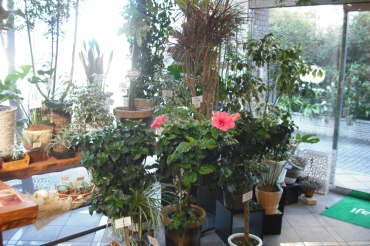 「花治」　（滋賀県東近江市）の花屋店舗写真3