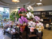 滋賀県東近江市の花屋 花治にフラワーギフトはお任せください 当店は 安心と信頼の花キューピット加盟店です 花キューピットタウン